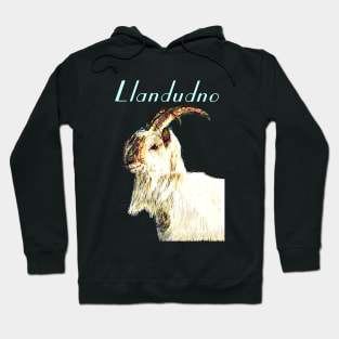 LLANDUDNO GREAT ORME GOAT LIGHT BLUE Hoodie